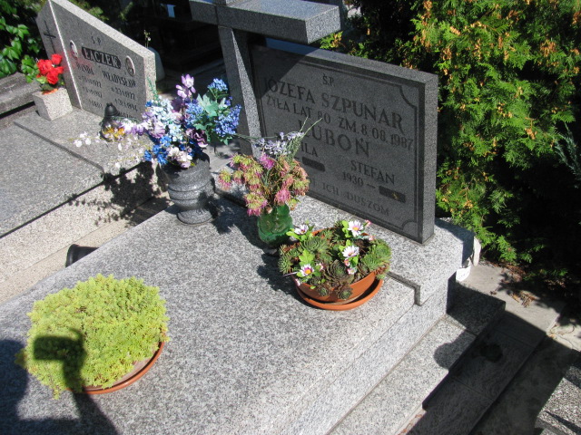 Grób Teofila Luboń