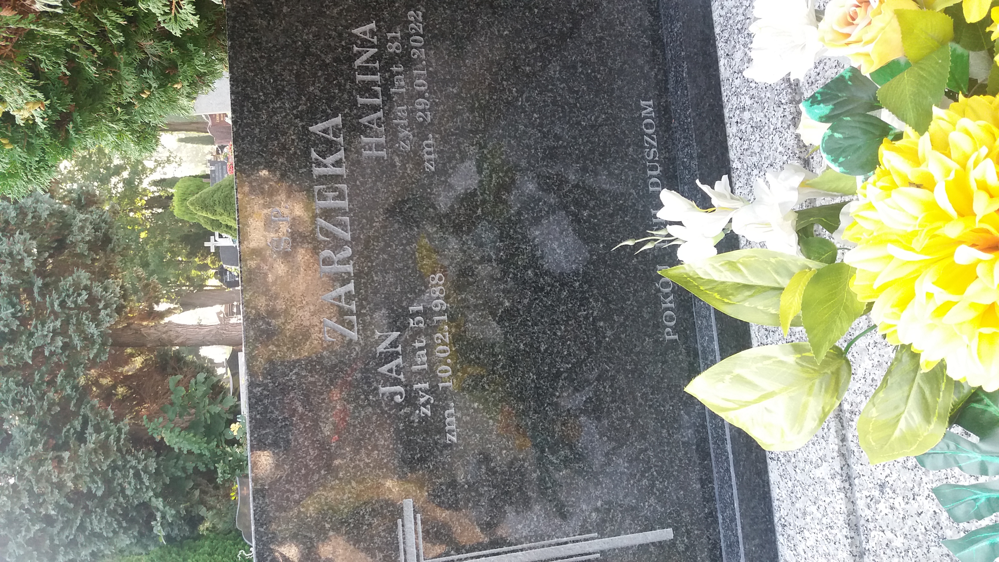 Grób Halina Zarzeka