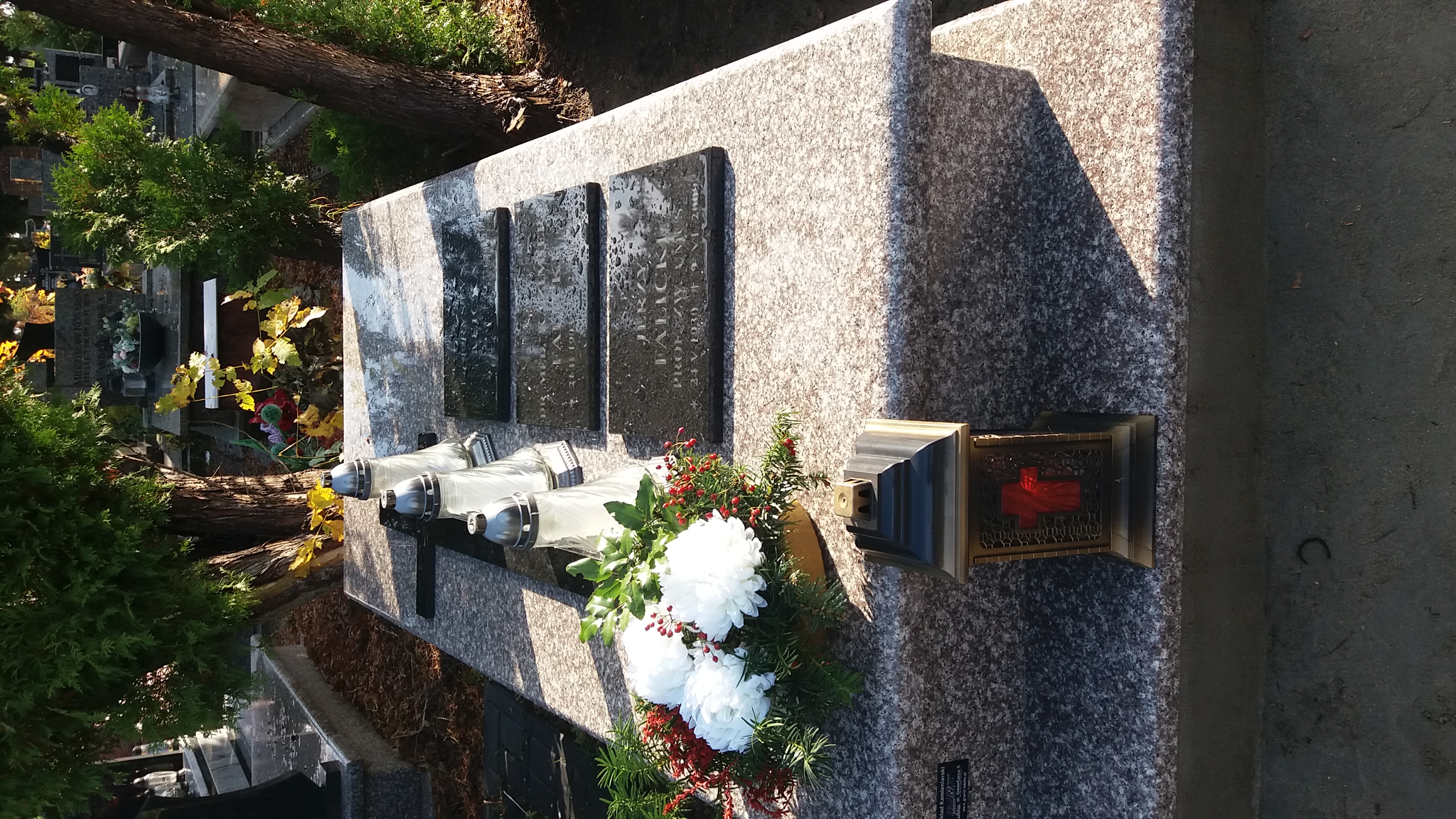 Grób Krystyna Falicka