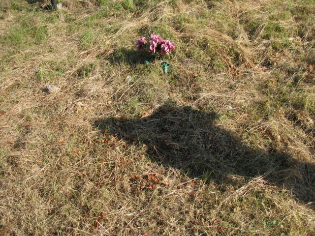 Grób Andrzej Kośla