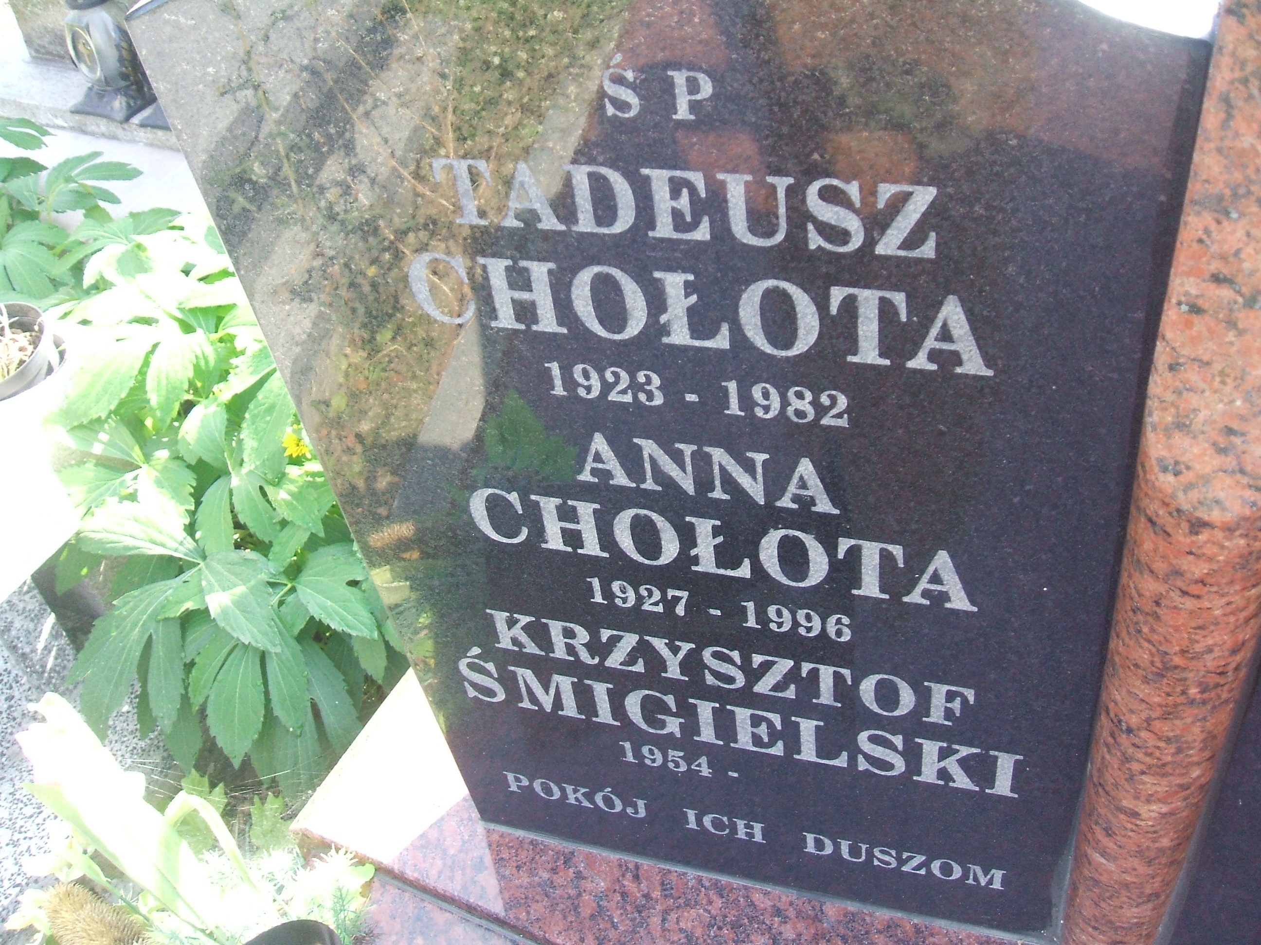 Zdjęcie grobu