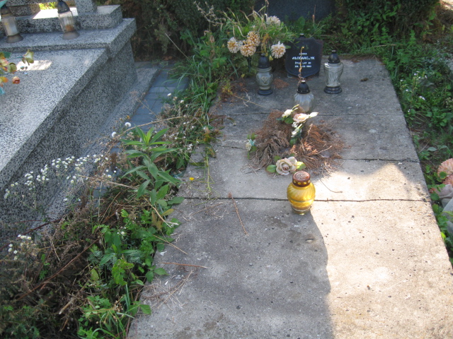 Grób Stanisław Jędryszek