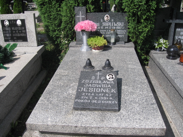 Grób Mieczysław Jesionek