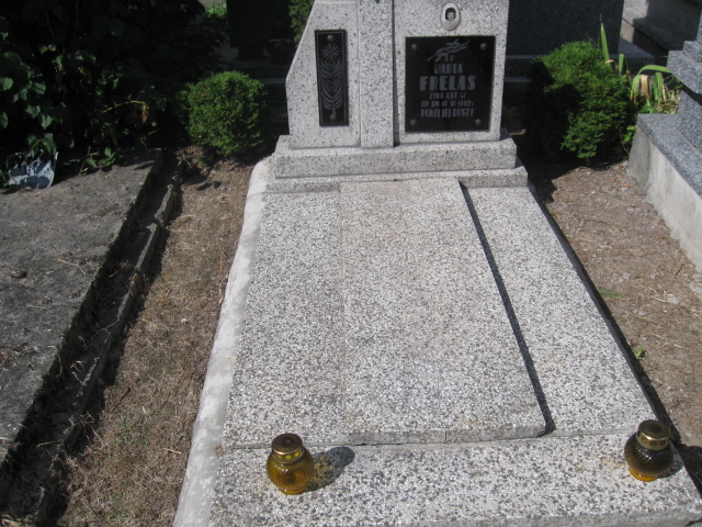 Grób Franciszek Frelas