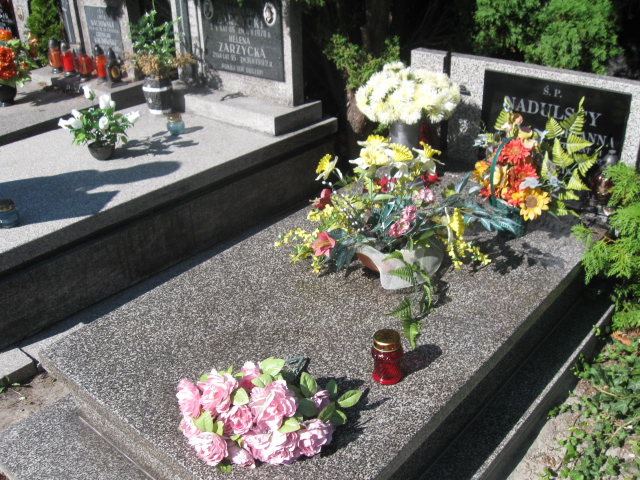 Grób Tadeusz Ślęzak