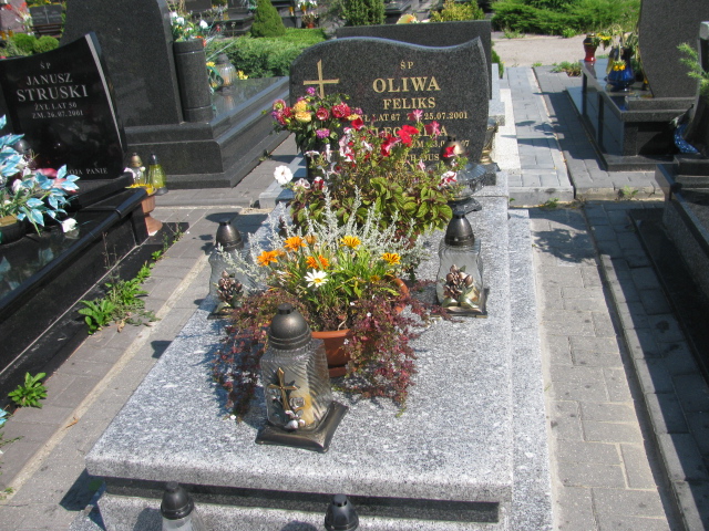 Grób Hanna Oliwa