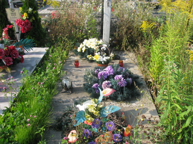 Grób Franciszek Korzeniowski