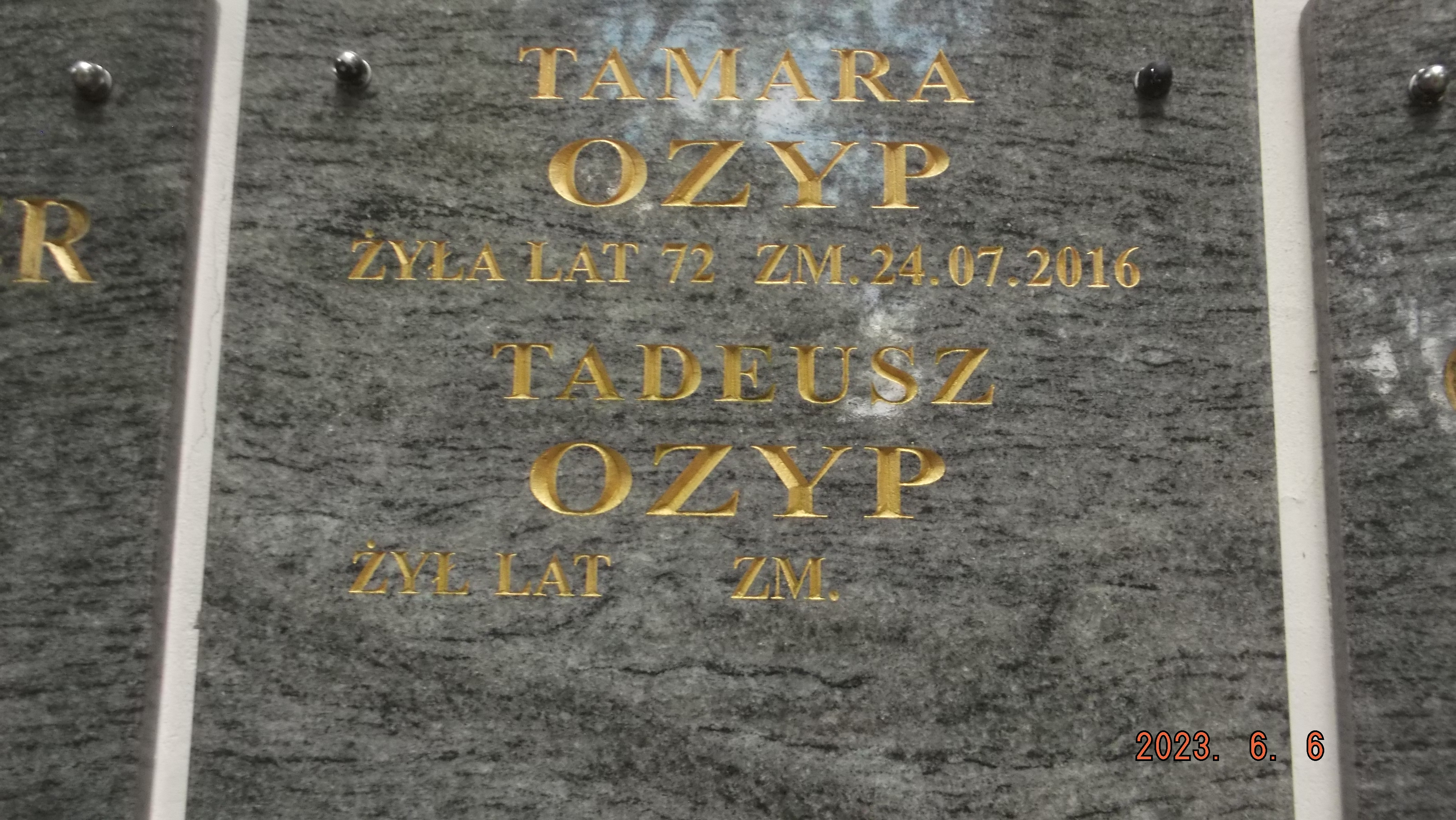 Grób Tamara Ozyp